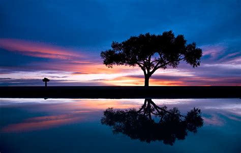 Lone Tree Sunset Geraint Smith Photography