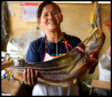 Slim river is the second biggest town in tanjung malim district. EatingAsia: Field Chicken and Big Fish in Slim River