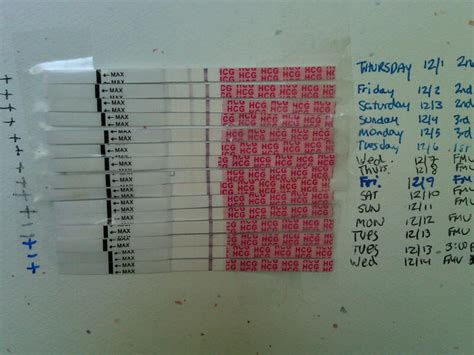 My fertility specialist recommends testing no sooner than 14 days after the trigger (25th for you) but some like to. Just another girl GETTING knocked up!: Trigger shots ...
