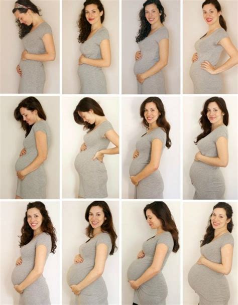 Babybauchfotos Selber Machen Tipps Zeitraffer Schwangerschaft Monate