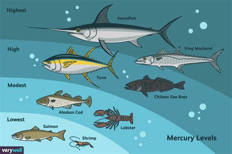 We did not find results for: Les meilleurs types de poisson pour éviter le mercure