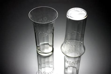 Etched Glass Tumblers Paneled Optic Drinking Glasses Floral Pattern Set Of 2 10 Ounce Glasses