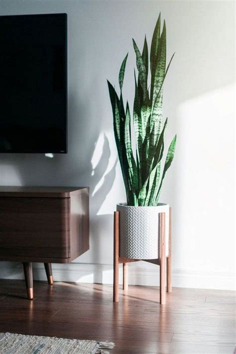 15 Lovely Plant Decor Ideas For Your House Mid Century Living Room