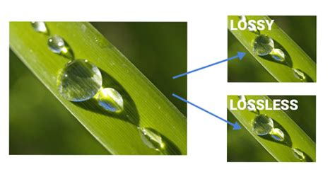 Lossless Vs Lossy Image Differbetween