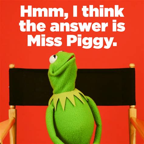 Buzzfeed Rewind Burning Questions Answered By Kermit The Frog