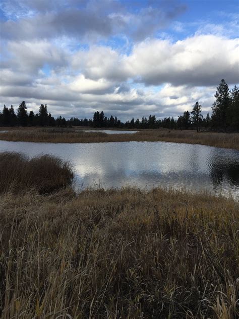 Turnbull National Wildlife Refuge Cheney All You Need To Know