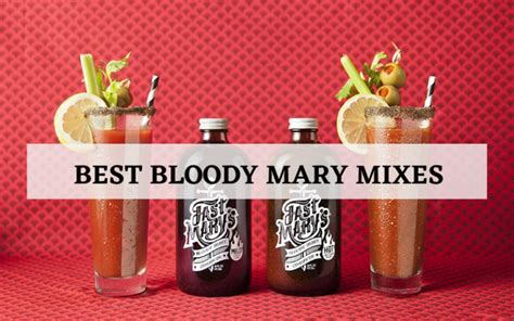 Top 8 Best Bloody Mary Mixes For The Money In 2023 Reviews