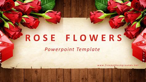 Rose Flower Powerpoint Templates Border And Frames Flowers Red Free