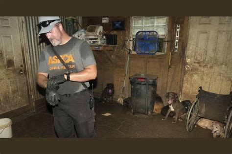 The Aspca Just Rescued 41 Dogs From A Dog Rescue In Madison Tennessee