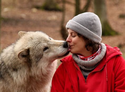 Wolves Can Also Be Mans Best Friend Scientists Say