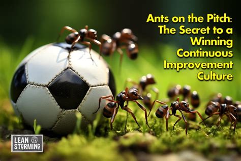 Ants On Soccer The Secret To A Winning Continuous Improvement Culture