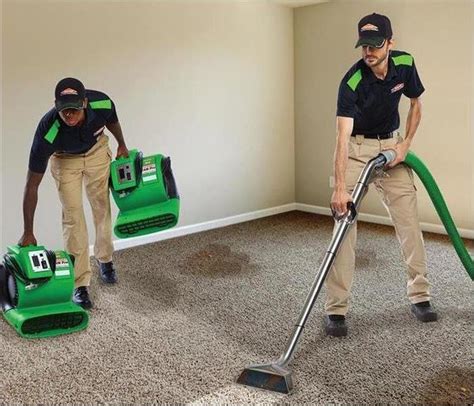 Signs You Might Have Carpet Mold