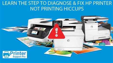 Learn The Step To Diagnose And Fix Hp Printer Not Printing Hiccups