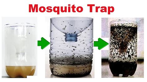 Mosquito Trap How To Make A Home Made Mosquito Easy And Effective