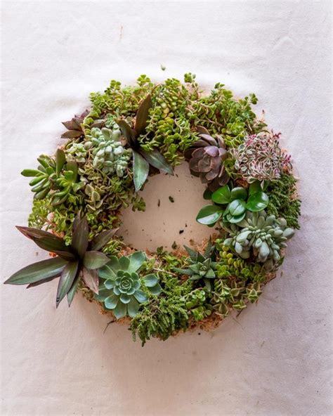Easy To Make Diy Succulent Wreath The Green Hub