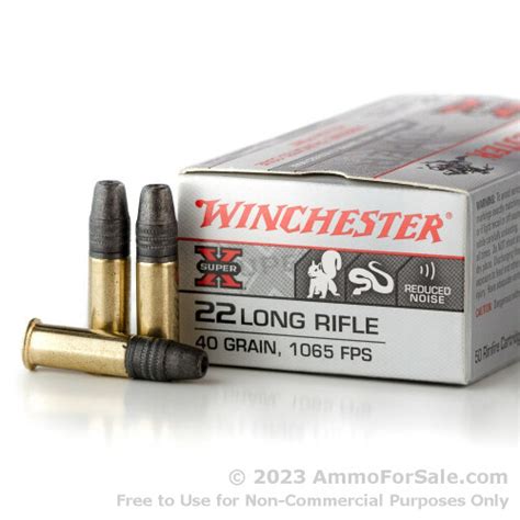 500 Rounds Of Discount 40gr Tc Hp 22 Lr Ammo For Sale By Winchester