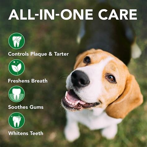Vets Best Dental Powder For Dogs Tandpleje Pulver 90gram
