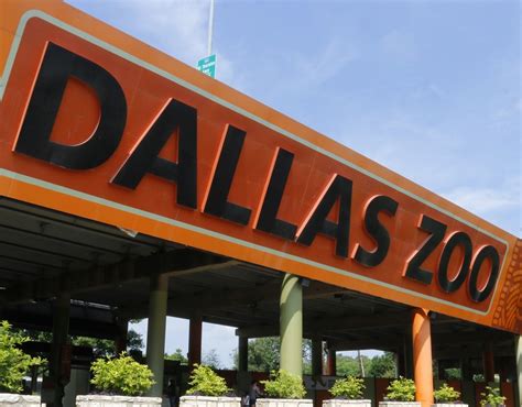 Dallas Zoo Visit Plano