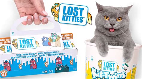 Lost Kitties Serien Auspack Session Itty Bitty Kit Twins Und