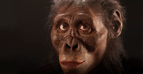 Australopithecus Africanus Lucy