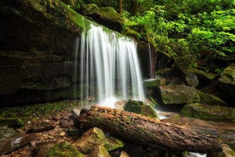 4 Smoky Mountain Waterfalls You Absolutely Need To See