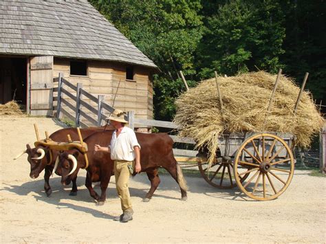 Pioneer Farm · George Washingtons Mount Vernon