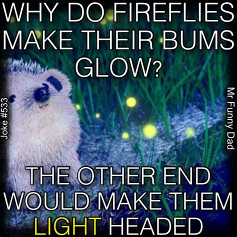 Fireflies Lightning Bugs Joke Cheesy Jokes Corny Jokes Dad Humor