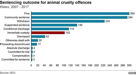 Animal Cruelty Sentencing Just 8 Of Convicts Jailed Bbc News