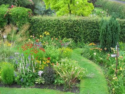 Pretty flowers blue flowers wild flowers meadow flowers flowers garden exotic flowers fresh flowers spring wildflowers spring flowers. Essentials For Growing A Cottage Garden | Flowers ...