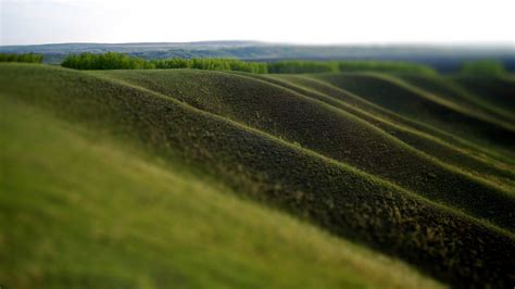 Blurred Landscape Grass Wallpapers Hd Desktop And