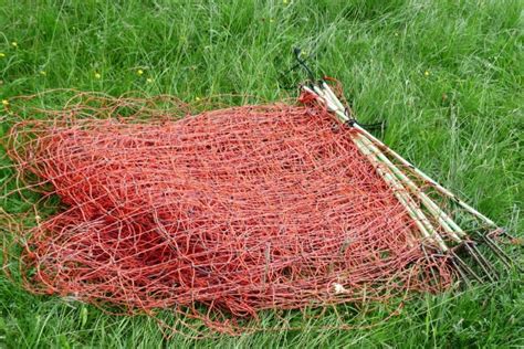 6.woven wire fence when a secure barrier is needed to keep small calves in and. Best Electric Fence for Goats on The Market  2021 Update 