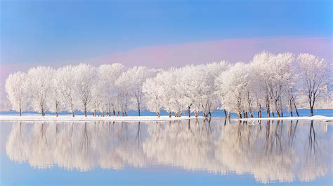 Wallpaper Nature Landscape Water Trees Snow Cold Daylight