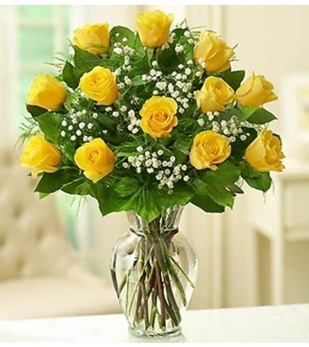 Rose Elegance Premium Long Stem Yellow Wilmington De Florist