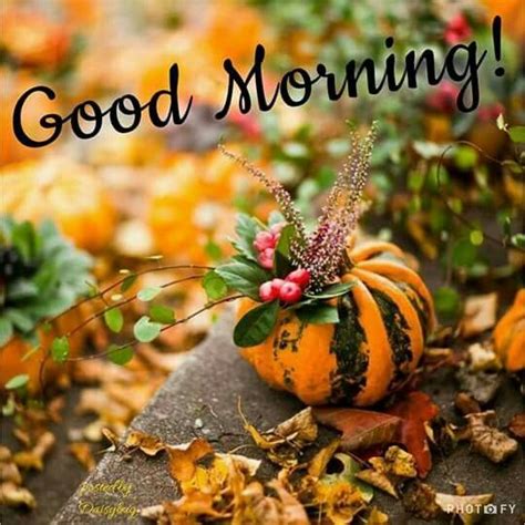 Good morning pumpkin campfire mug, fall mug, fall decor, 15 oz, pumpkin spice latte, psl coffee mug, fall home, pumpkin decor, coffee cup Pin by Diana on Tags-Good morning | Pumpkin, Autumn garden ...