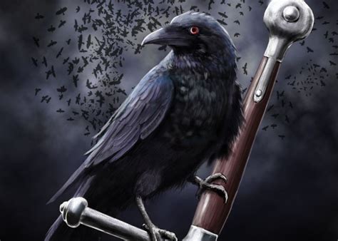 Ravens Crows On Pinterest Ravens Crows And Crows Ravens