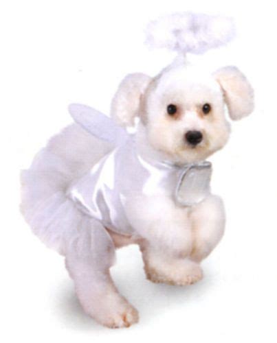 Dog Costume Angel With Halo Amp Wings Now Reduced Price Sizes 8 22 034