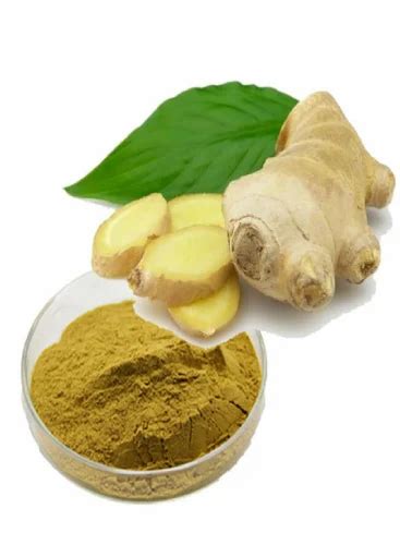 Ginger Extract Powder At Rs 7911kg Ginger Extract In Surat Id