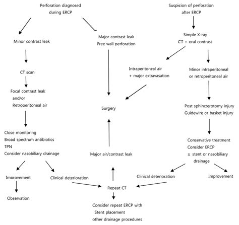 Treatment Algorithm For Ercp Related Duodenal Perforation Ercp