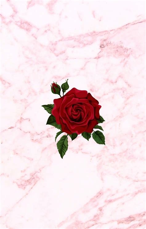 Immagini fiori per whatsapp fiori idea immagine sfondi desktop sfondi sfondi vari 4070. Sfondi Whatsapp Sfondi Rosa Tumblr | Sfonditu