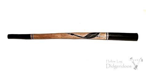 Dhatjukurr Munuŋgurr Archive Hollow Log Didgeridoos Australia
