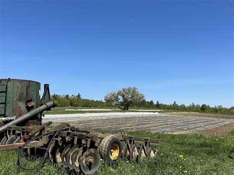 Umaine Extension Offers On Farm Workshop On Vegetable And Hay