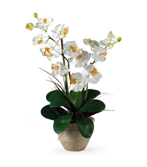 Nearly Natural White Double Phalaenopsis Silk Orchid Flower Joann