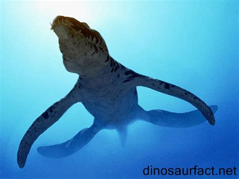 Liopleurodon Dinosaur