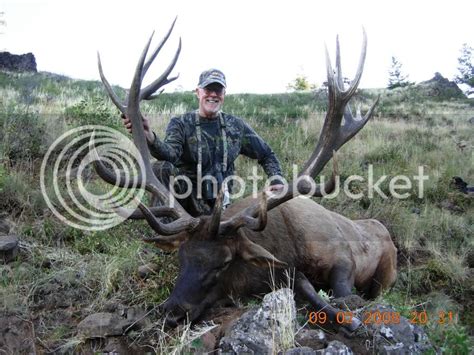 New Record Bull From Washington Elk Hunting 24hourcampfire