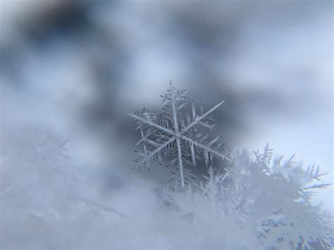 Best Snowflake Pictures Hd Download Free Images On