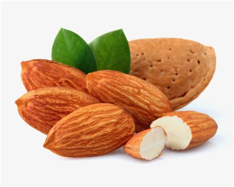 Almond And Its Benefits Islamic Treasure