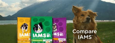 As dog parents, we always want what's best for our dogs in terms of health and happiness. Iams Dog Food Review 2021: The Best Budget Nutrition?