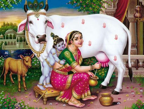 Krishna And Cow Wallpapers Top Free Krishna And Cow Backgrounds