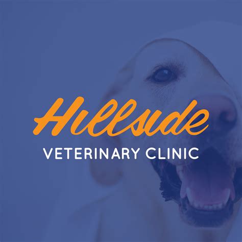 Hillside Veterinary Clinic In Newmarket Ontario 30 Years And Counting