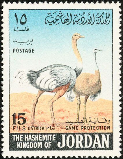 Egg Shell Qidfa Stamp Ostrich Postal Stamps